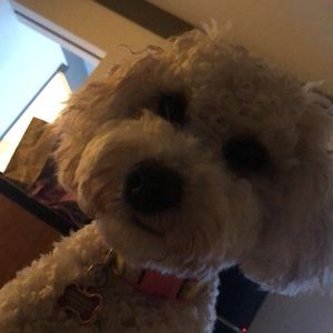 Meet your Posher, Christa